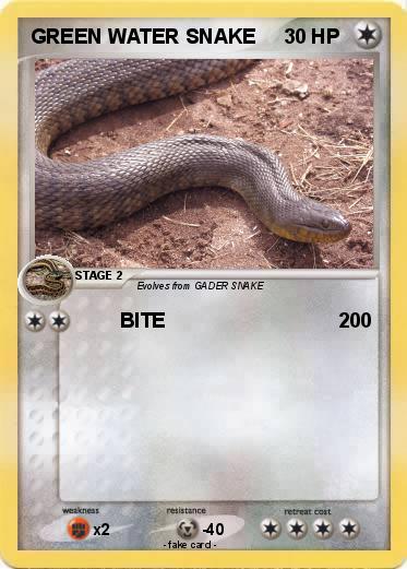 Pokemon GREEN WATER SNAKE