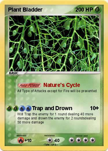 Pokemon Plant Bladder