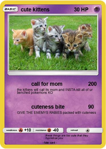Pokemon cute kittens