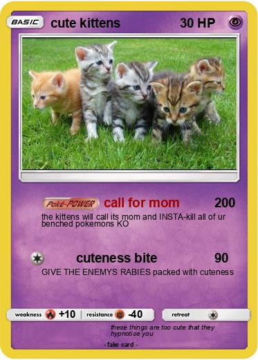 Pokemon cute kittens