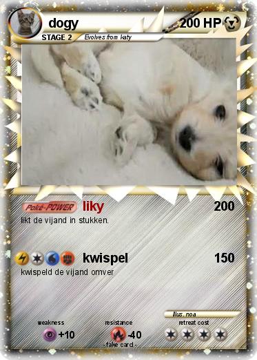 Pokemon dogy