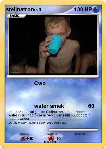 Pokemon steijnatron