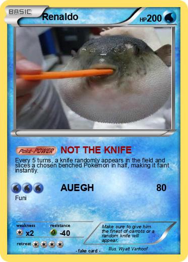 Pokemon Renaldo