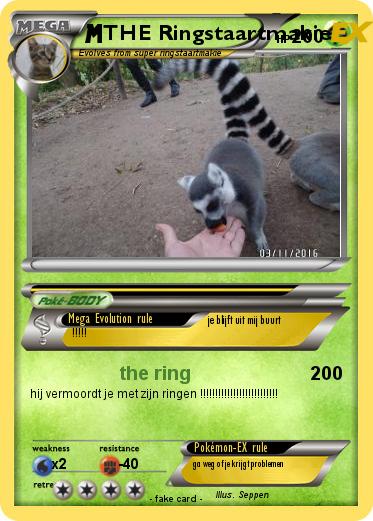 Pokemon THE Ringstaartmakie