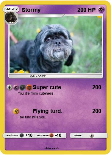 Pokemon Stormy