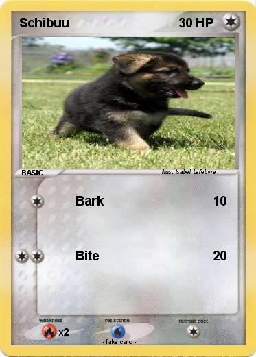 Pokemon Schibuu