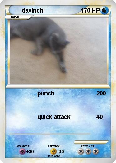 Pokemon davinchi