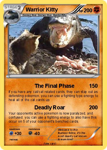 Pokemon Warrior Kitty