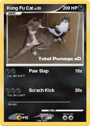 Pokemon Kong Fu Cat