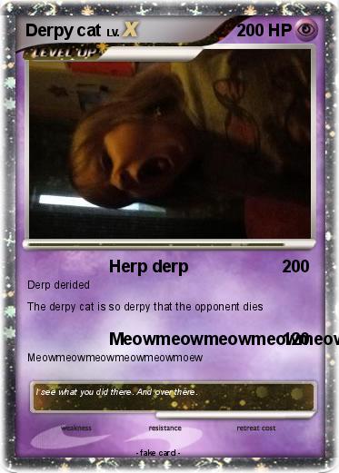 Pokemon Derpy cat