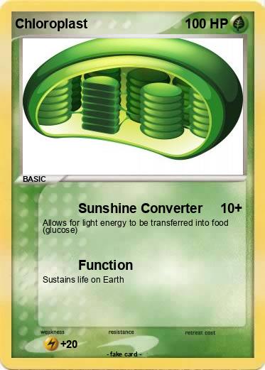 Pokemon Chloroplast