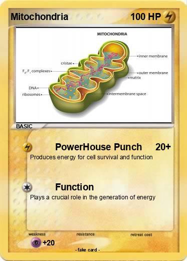 Pokemon Mitochondria