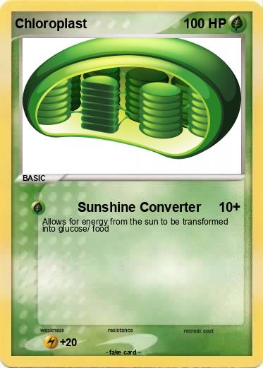 Pokemon Chloroplast