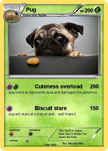 Pokemon Pug