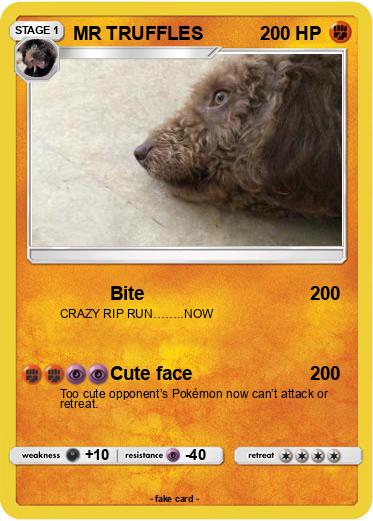 Pokemon MR TRUFFLES