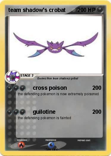 Pokemon team shadow's crobat