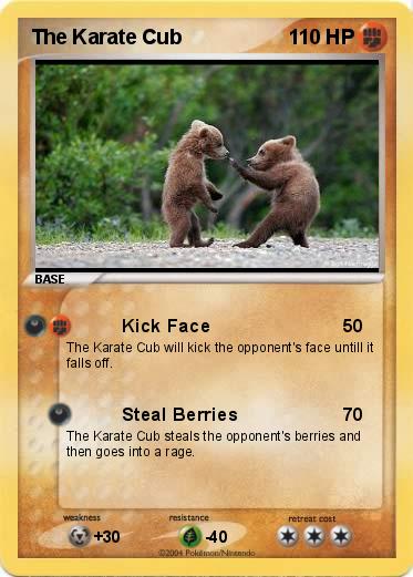 Pokemon The Karate Cub