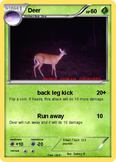 Pokemon Deer