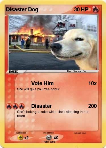 Pokemon Disaster Dog