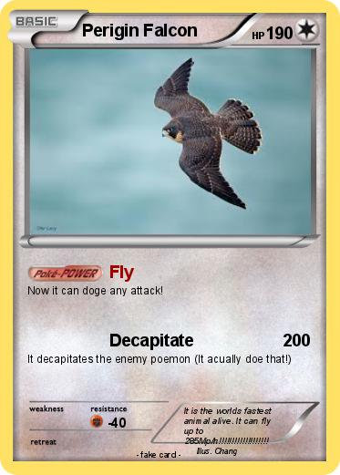 Pokemon Perigin Falcon