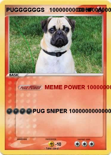 Pokemon PUGGGGGGS   1000000000000000000000000000000000000000000000000000000000000000000000000000000000000000000000000000000000000000000000000000000000000000000