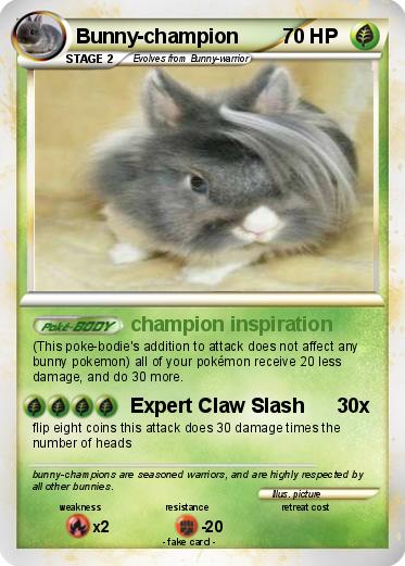 Pokemon Bunny-champion