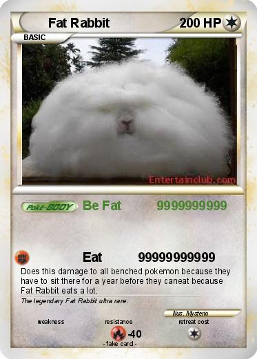 Pokemon Fat Rabbit