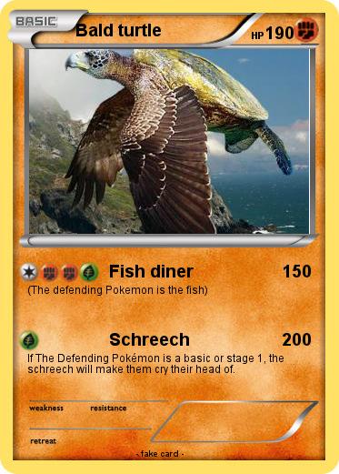 Pokemon Bald turtle