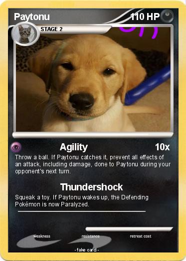 Pokemon Paytonu