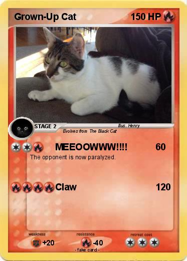 Pokemon Grown-Up Cat