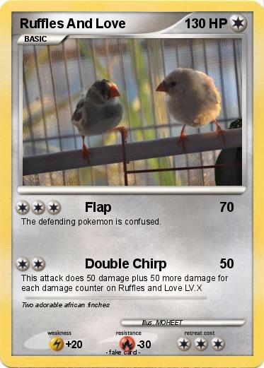 Pokemon Ruffles And Love