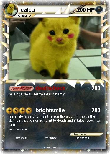 Pokemon catcu