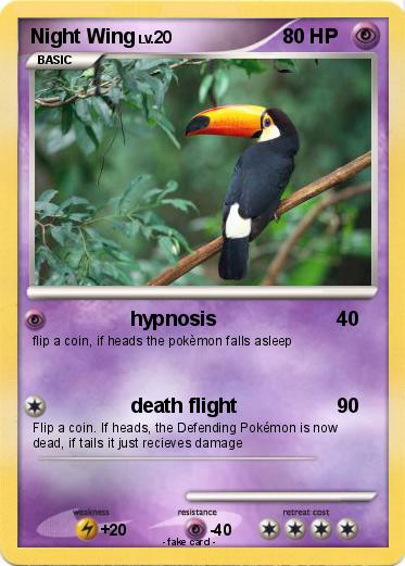 Pokemon Night Wing