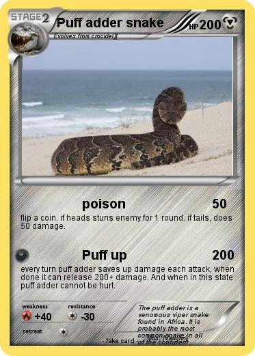 Pokemon Puff adder snake