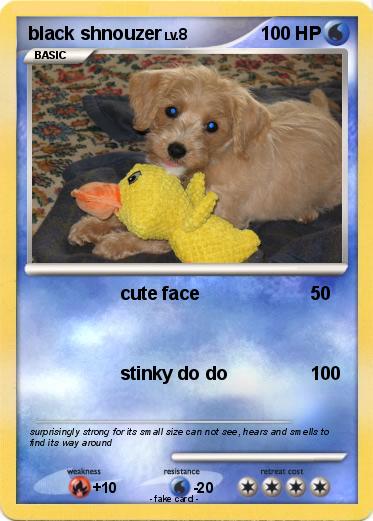 Pokemon black shnouzer