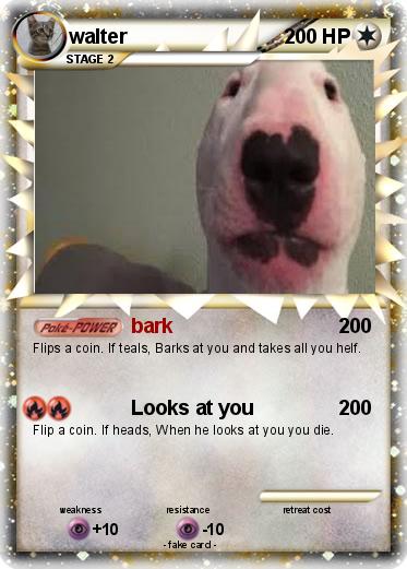 Pokemon walter