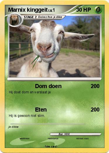 Pokemon Marnix kinggeit