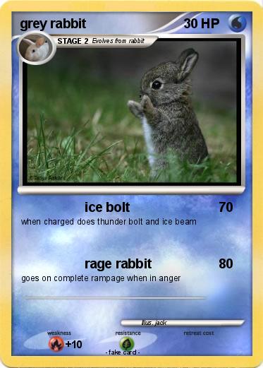 Pokemon grey rabbit