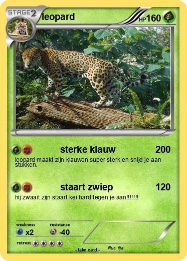 Pokemon leopard