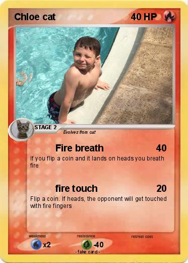 Pokemon Chloe cat