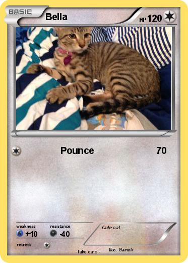 Pokemon Bella