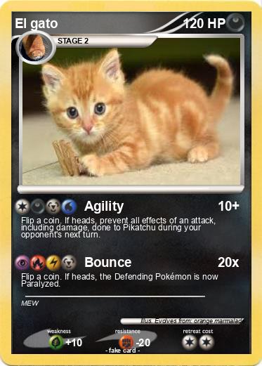 Pokemon El gato
