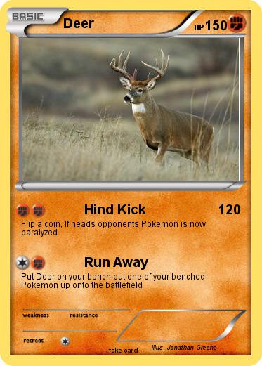 Pokemon Deer