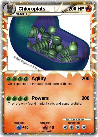 Pokemon Chloroplats