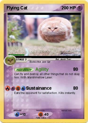 Pokemon Flying Cat
