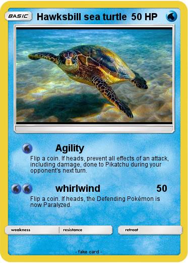 Pokemon Hawksbill sea turtle