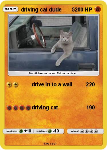 Pokemon driving cat dude       5