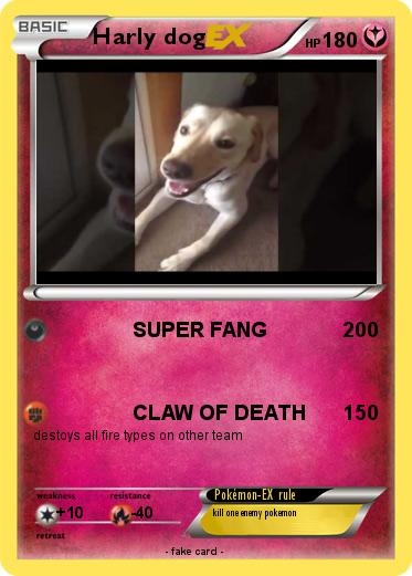 Pokemon Harly dog