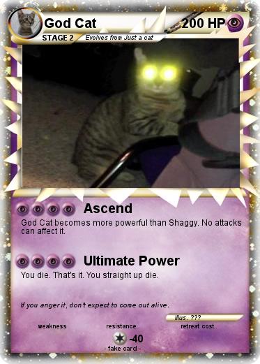 Pokemon God Cat