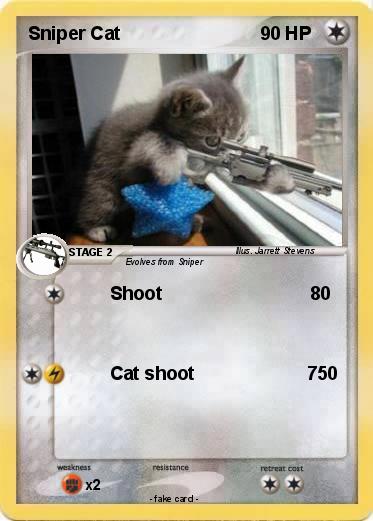 Pokemon Sniper Cat